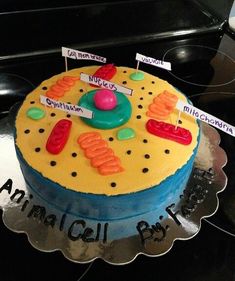 a cake that is sitting on top of a plate with name tags around the edges