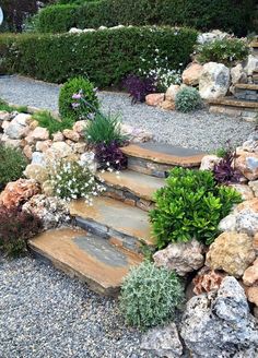 an outdoor garden with rocks and plants