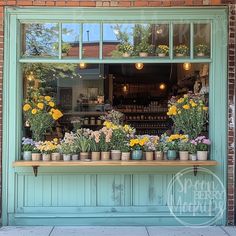 flowers are displayed in pots on the window sill at an outdoor storefront display