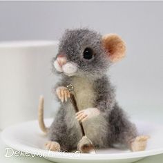 a tiny mouse sitting on top of a white plate