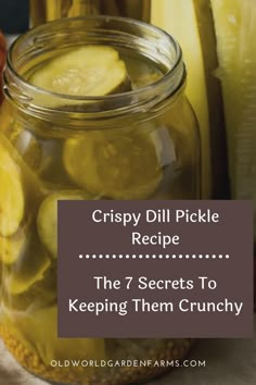 the 7 secrets to keeping them crunchy crispy dill pickle recipe in a jar