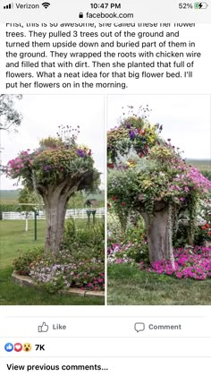 an image of a tree with flowers growing out of it and the caption below