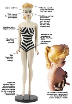 an image of a mannequin with text describing the parts of a woman's body