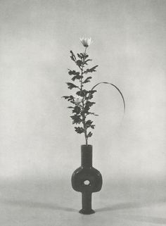 a black and white photo of a flower in a vase on a table with a grey background