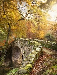 an old stone bridge in the middle of a forest with fall leaves on the ground