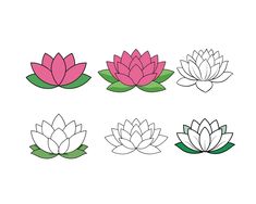 four water lilies with green leaves and pink ones on the top, in different colors