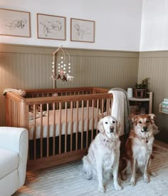 two dogs sitting in front of a crib next to a baby's bed