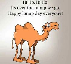 a cartoon camel with the words hi hoo, it's over the hump we go happy hump day everyone