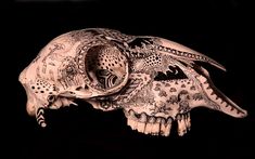 an animal skull with intricate designs on it's face and back end, against a black background