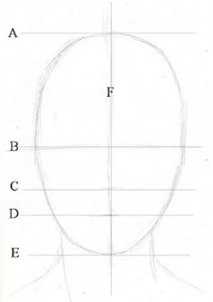 an image of a person's face with lines drawn on it