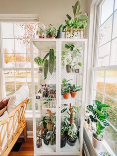 a room filled with lots of potted plants next to a couch and window sill