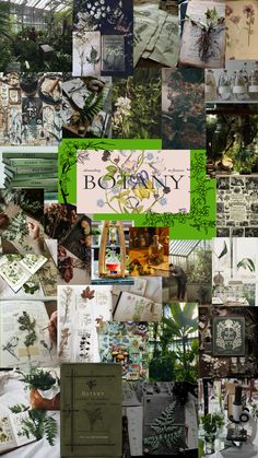 the collage shows many different types of flowers and plants in green, white, and black