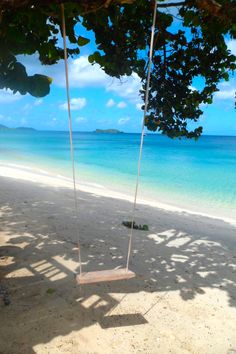 a swing hanging from a tree on the beach with blue water in the back ground