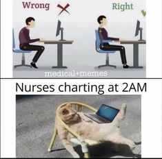 a cat laying on top of a chair next to a computer monitor with the caption nurse memes nurses charing at 2 am