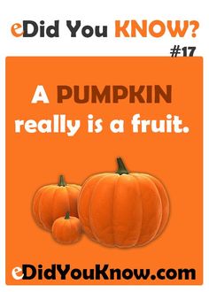 Fruitarian Diet, Crazy Halloween Costumes, Random Fun Facts, Odd Facts, Fun Facts For Kids, Myths And Facts, Healthy Facts