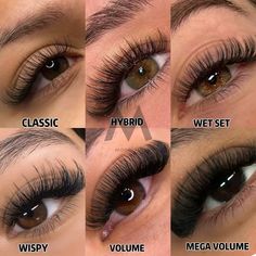 Different Lash Mapping Styles, Whisky Lash Map, Whisky Lash Extensions Map, Lashes Map, Spike Lash Extensions Map, Lash Maps For Different Eye Shapes, Spiky Lash Extensions Map, Classic Lash Set, Dramatic Cat Eye Lash Extensions Map