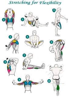 a diagram showing how to do the back stretch with different positions and exercises for flexibility