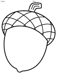 the outline of an acorn fruit is shown in black and white