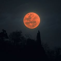 the full moon is seen in the dark sky above some trees and buildings at night