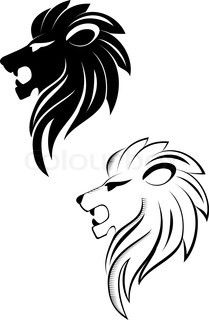 two lion heads side by side