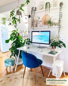 Office with plants and decor that gives a summer vibe Office Oasis, Lush Plants, Sunny Vibes, Bohemian Inspiration, Design Your Own Home, Office Plants, Work Desk, Shop Office