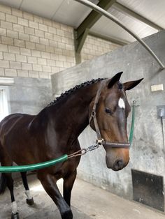 a brown horse standing next to a metal pole in a building with white bricks on it's walls