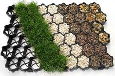 an assortment of seed and grass growing trays