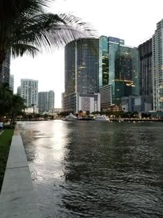 the city is full of tall buildings and palm trees in front of the water's edge