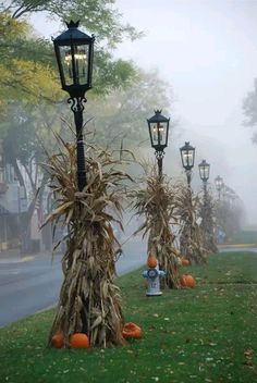 a row of street lamps sitting on top of a lush green field