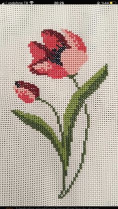 a cross stitched picture of two red flowers on a white background with green stems