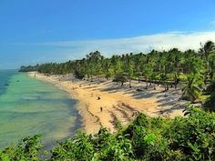 the beach is lined with palm trees and blue water