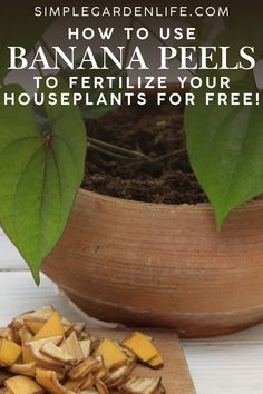 banana peels on a cutting board next to a potted plant with text overlay reading how to use bananas to fertite your houseplants for free