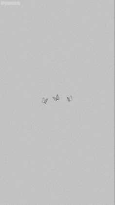 three birds flying in the sky on a foggy day