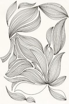 an ink drawing of leaves on white paper with black and white lines in the middle