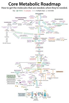 a map with the words core metatic roadmap and other things on it