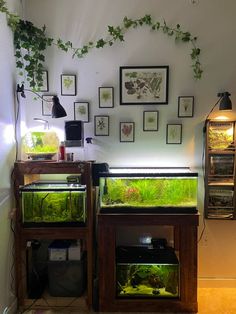 two fish tanks sitting on top of a wooden stand in front of a wall with pictures