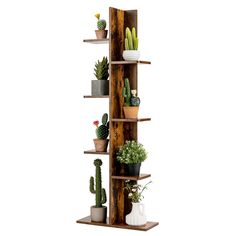 a tall wooden shelf filled with potted plants