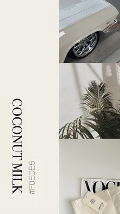 an advertisement for the coco cotton milk brand with photos of cars and palm tree leaves