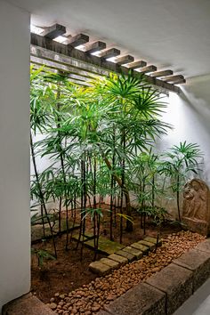 an indoor garden with many plants and rocks