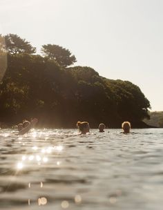 several people swimming in the water with trees in the backgroung and sun shining on them