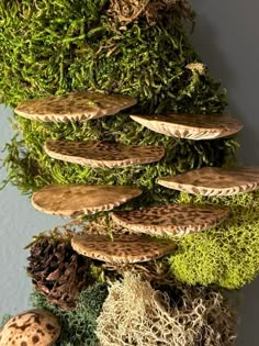 an arrangement of moss, pine cones and other things are arranged in the shape of a pyramid