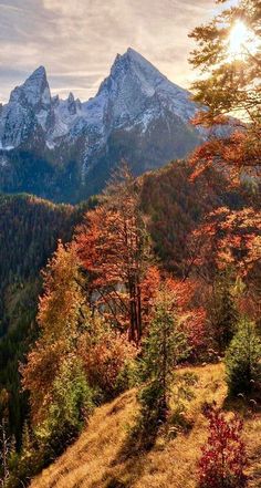 the mountains are covered in snow and trees with orange leaves on them, as the sun is setting