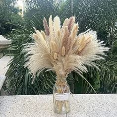 a vase filled with dried grass sitting on top of a cement wall next to trees