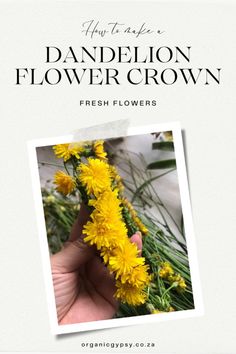 dandelion flower crown with text overlay that reads, how to use dandelion flower crown fresh flowers