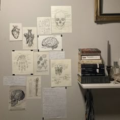 a wall covered in lots of different types of medical notes and drawings next to a shelf with books on it