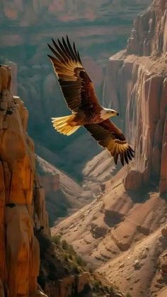 a large bird flying over the top of a cliff