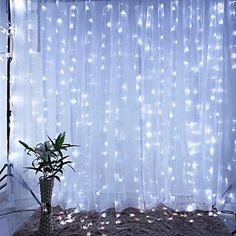 a white curtain with lights behind it and a potted plant