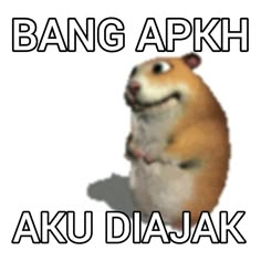 an image of a hamster saying bang apkh aku diajaak