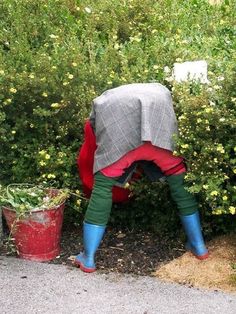 there is a red bucket in the middle of some bushes with a cover over it