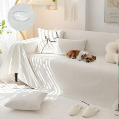 a dog laying on top of a white couch in a living room next to pillows